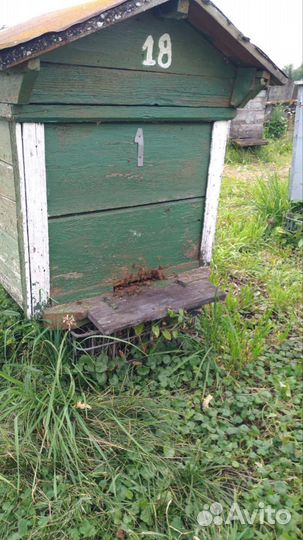 Улей с пчелами