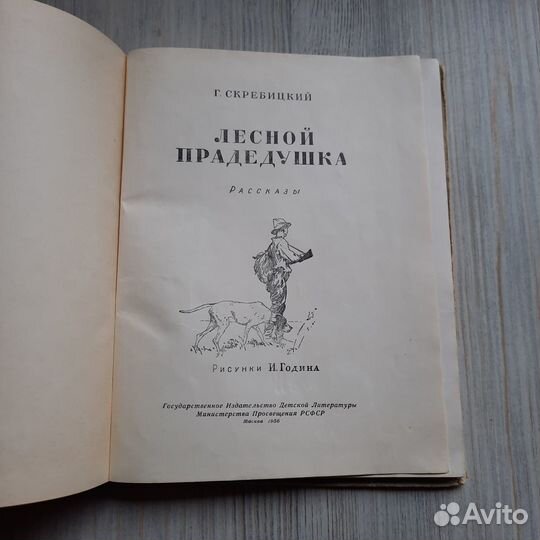 Лесной прадедушка. Скребицкий. 1956 г