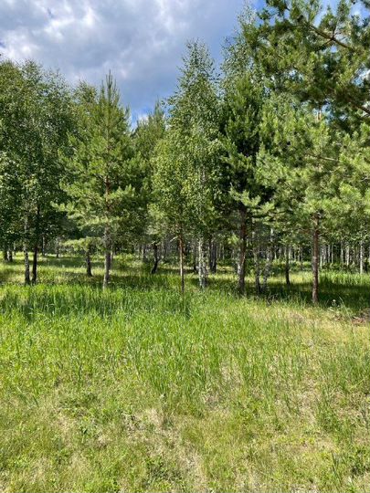 Участок 9,2 сот. (ИЖС)