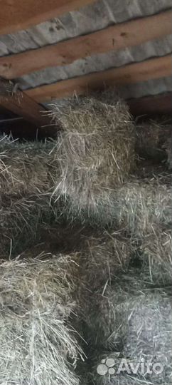 Сено в тюках