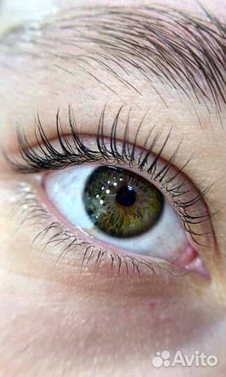 Оформление бровей и ламинирование ресниц