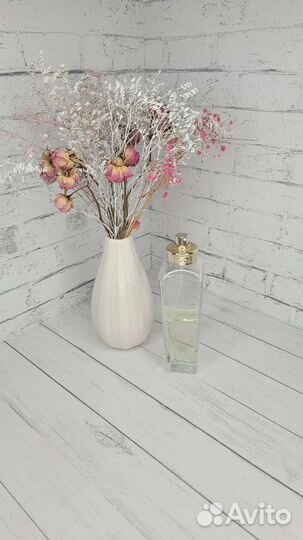 Парфюмерная вода женская Adolfo Domingyez