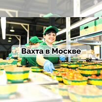 Вахта в Москве - Весовщик томатов / 15-15