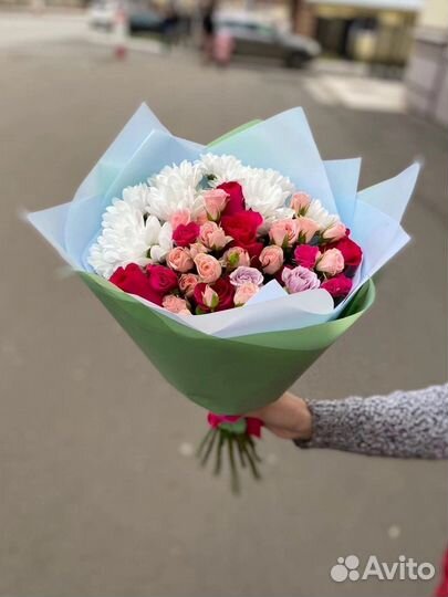 Хризантема кустовые розы цветы