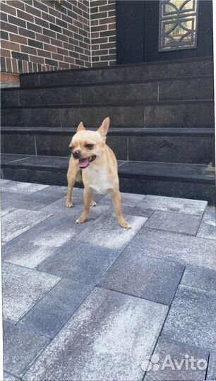 Тротуарная плитка