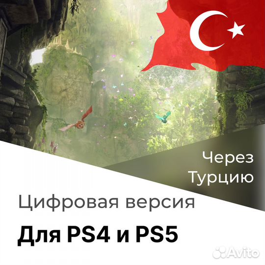 Подписка на Hogwarts Legacy для РФ. Турция