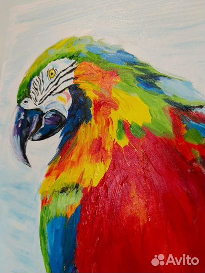 Волнистый попугай