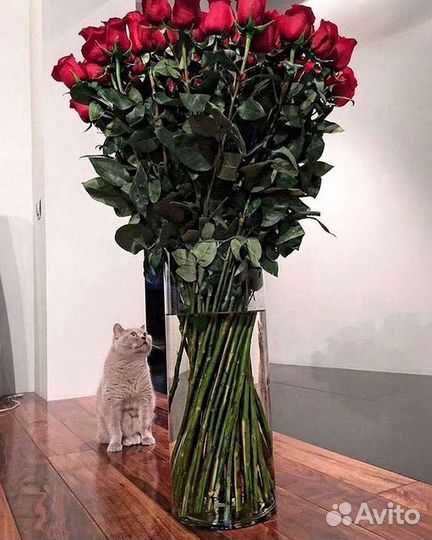 Длинные высокие розы 110 150 160 180 200 см