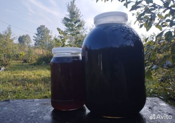 Мёд дикое разнотравье за 3л