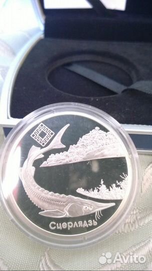 Монеты Стерлядь, 2007, Беларусь, набор 2шт