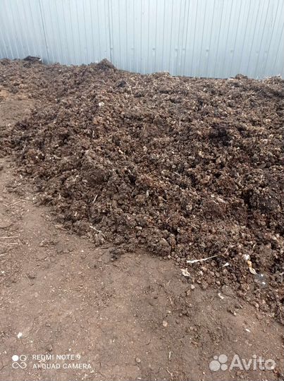 Куриный помет