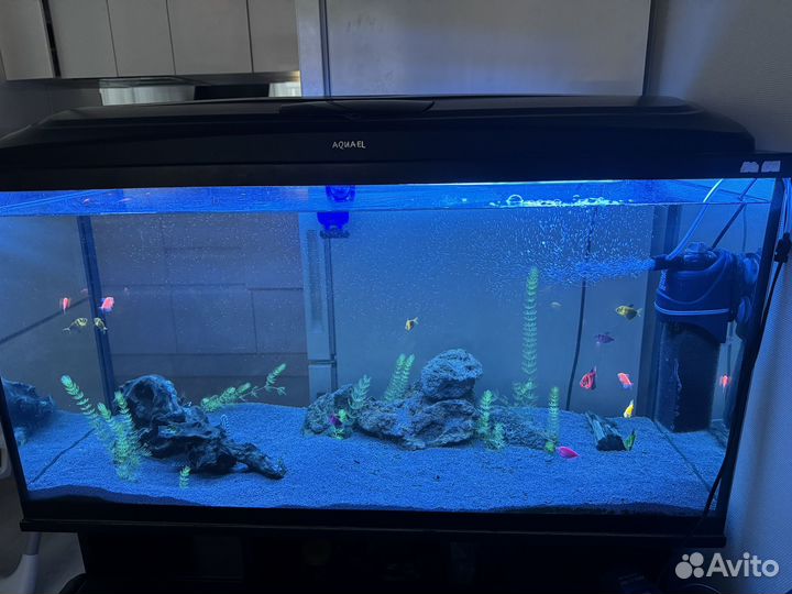 Аквариум 200 л с тумбой