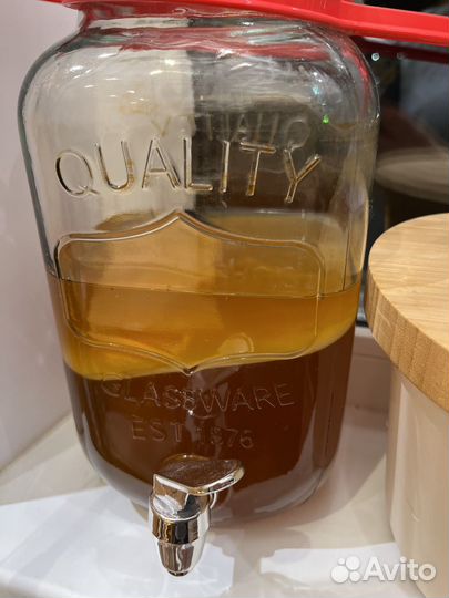 Чайный гриб