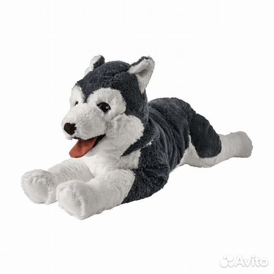 Хаски IKEA livlig