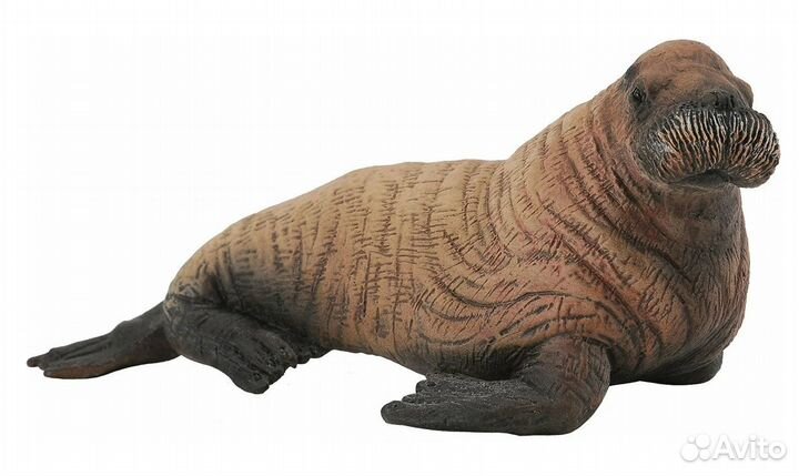 Детёныш моржа, M, 88570