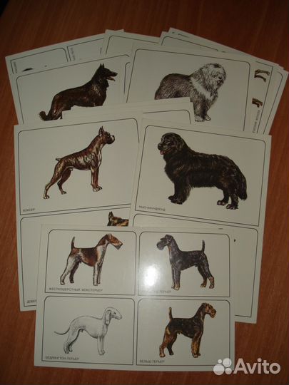 Набор открыток