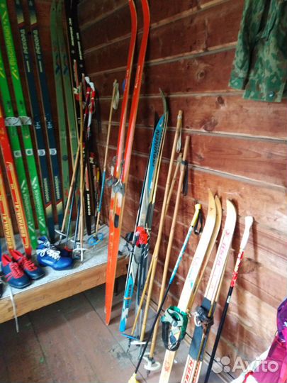 Беговые лыжи