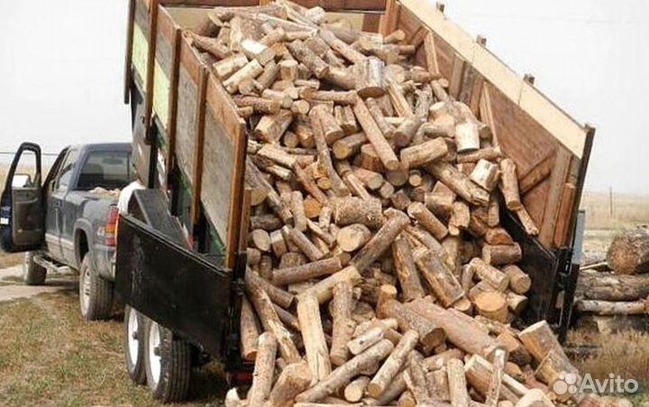 Дрова в область