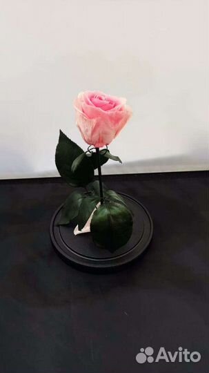 Роза в колбе оптом