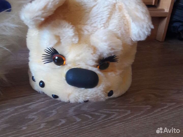 Собака и белка говорящая самолет кошка