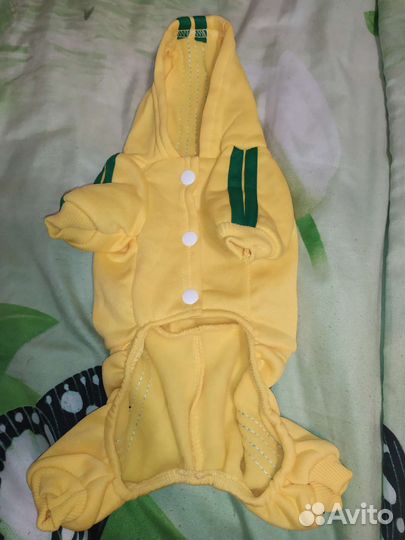 Костюм для собачки