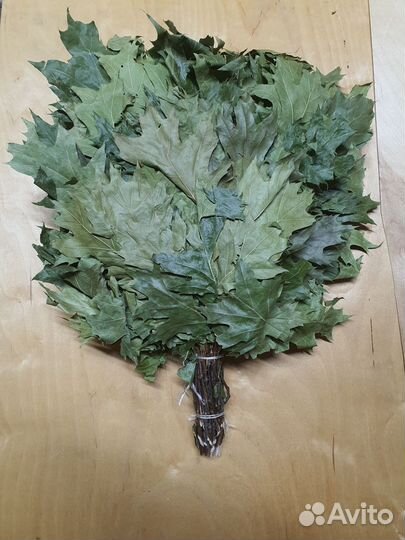 Веники канадский дуб Стандарт