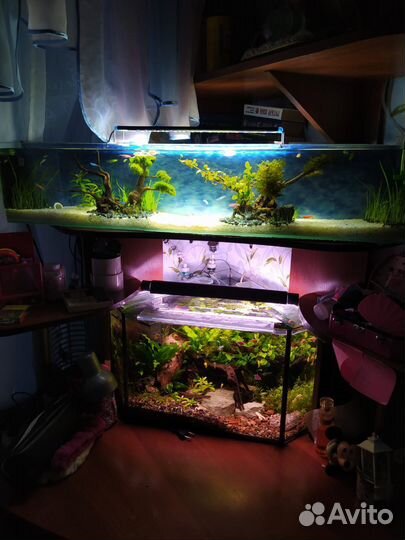 Обслуживание аквариумов