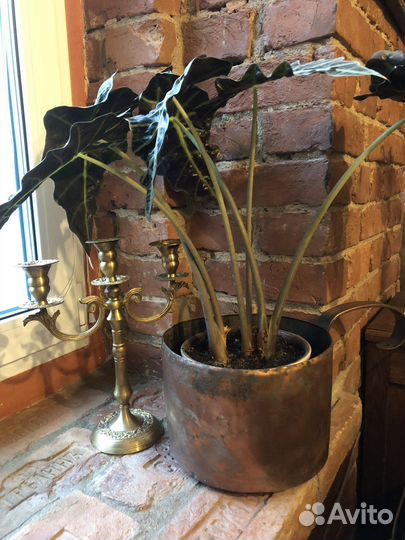 Медный ковш старинный, кашпо лофт