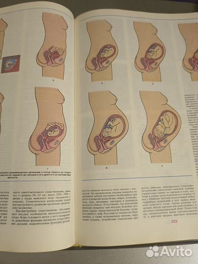 Медицина. Домашняя медицинская энциклопедия