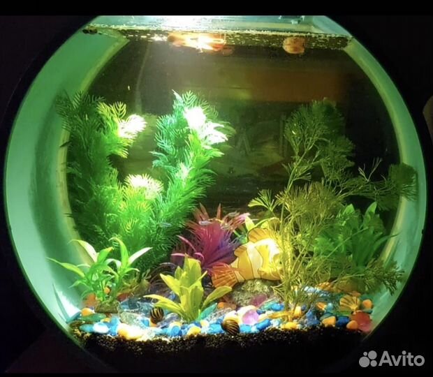 Аквариум 20л