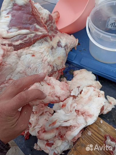 Мясо жир барана