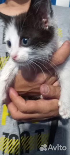 Ляля ждет родителей