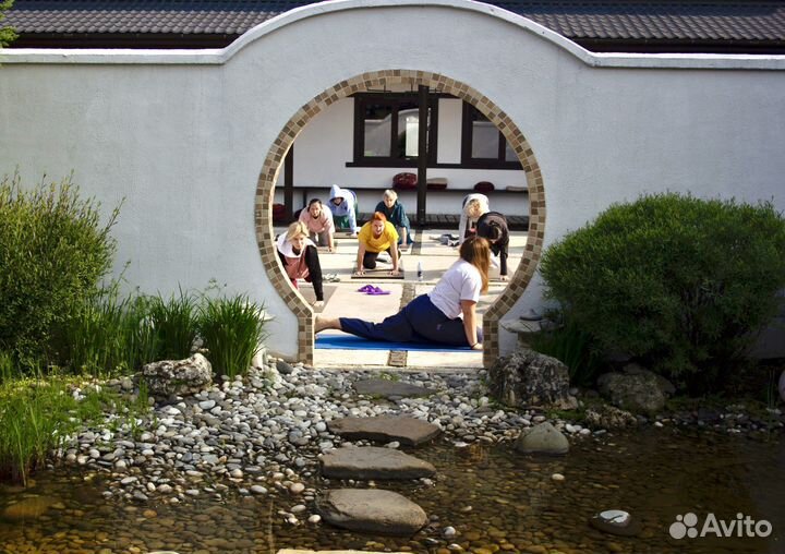 Ретрит тишины в Подмосковье