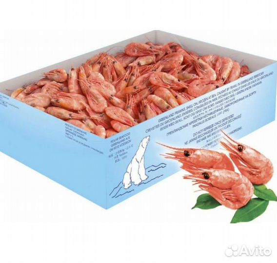 Креветка северная