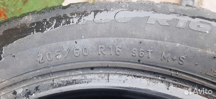 Formula Ice 205/60 R16 96T