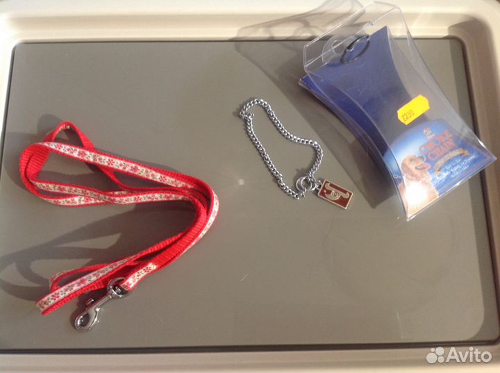 Ошейники,намордник на той терьера