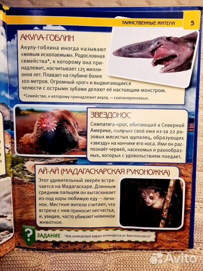 100 тайн планеты Земля