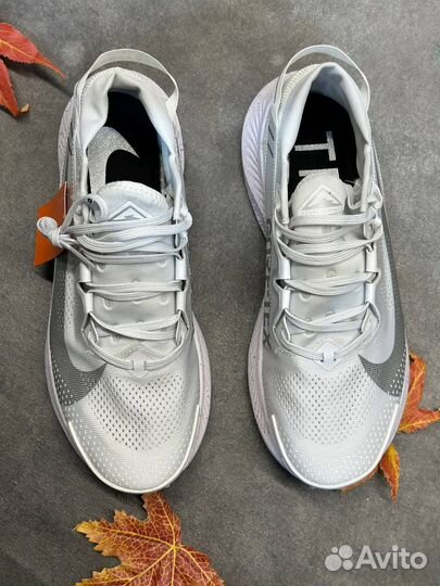 Nike pegasus traill 2 (45)