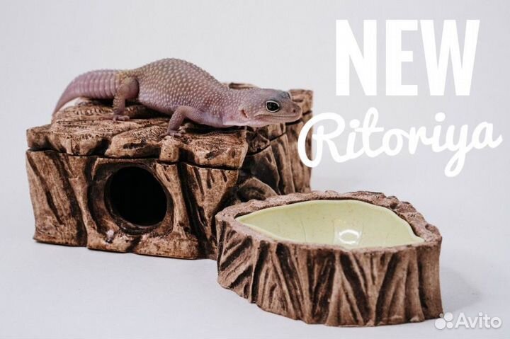 Влажная камера, укрытие и поилка для рептилий