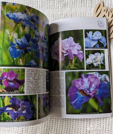 Книга Коллекция ирисов Бот. Сада МГУ