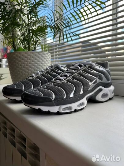 Кроссовки Nike air max TN plus