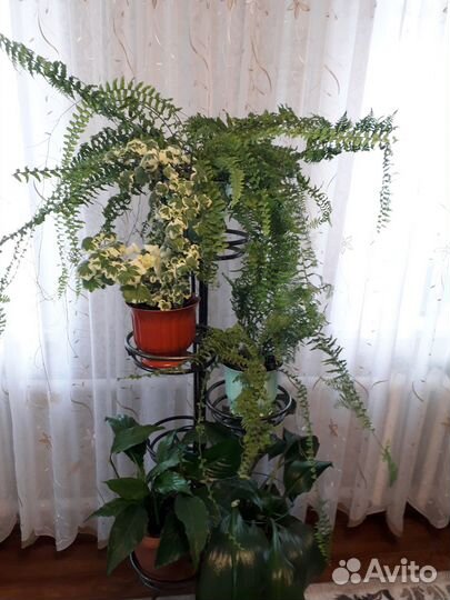 Подставка для цветов