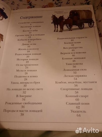 Книга Лошади