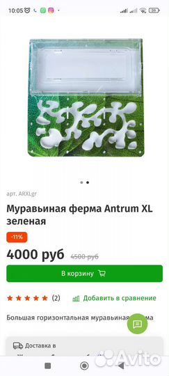 Формикарий без муравьев