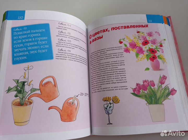 Энциклопедия для девочек