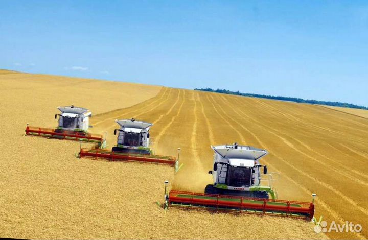 Уборка урожая комбайнами Claas. Пшеница. Кукуруза