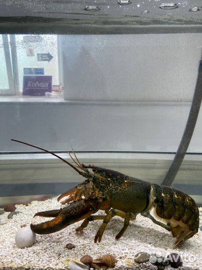 Продажа кофейни