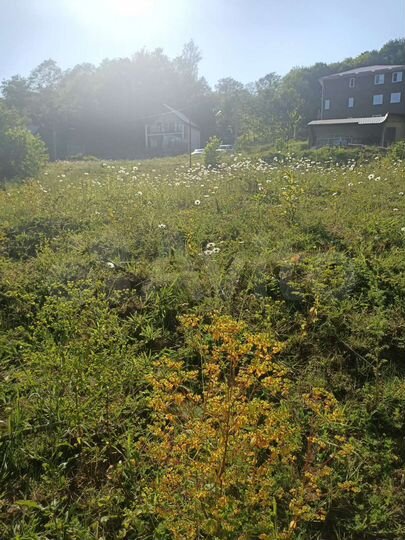 Участок 3 сот. (ИЖС)