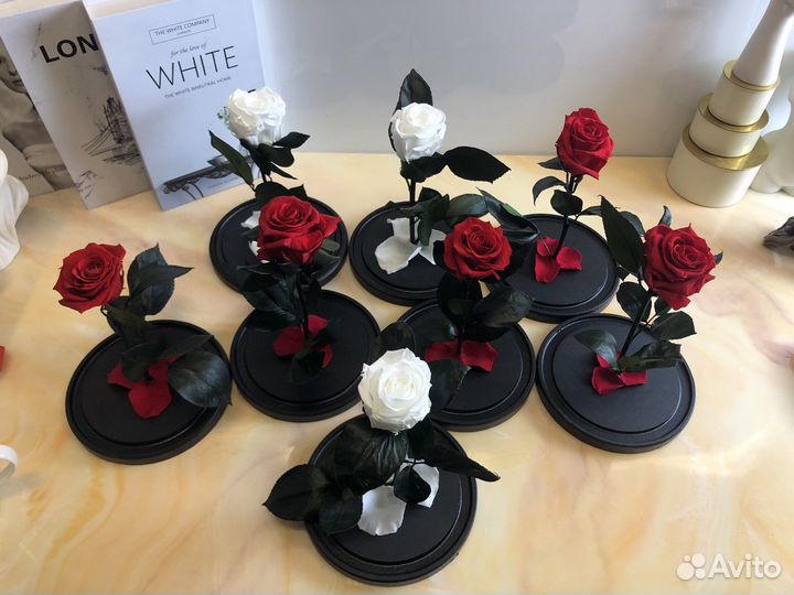 Розы в колбе оптом