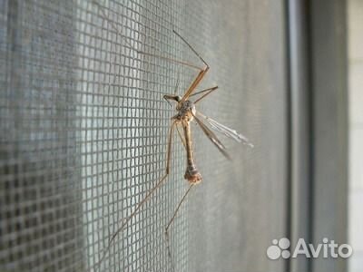 Москитные сетки